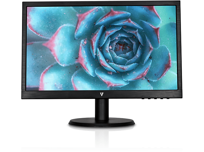 V7 Monitor LED de 18,5