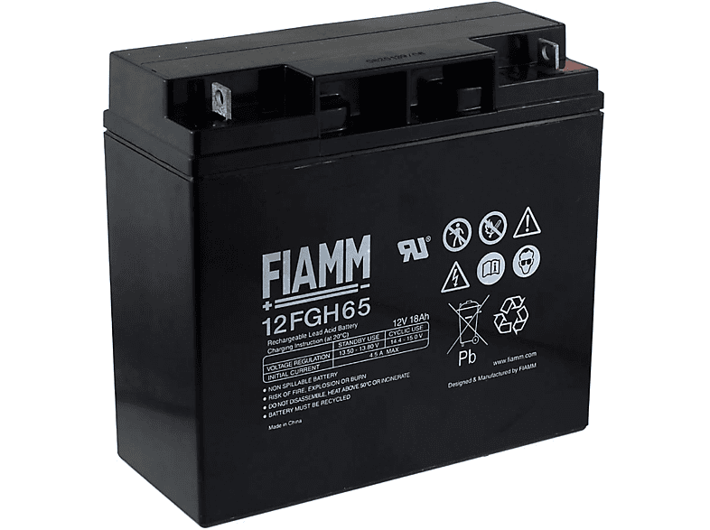 Baterías de Plomo | FIAMM FIAMM Batería de plomo-sellada 12FGH65 (alta intensidad) 