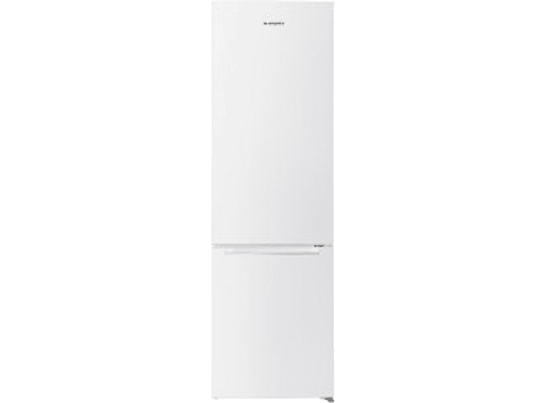 Frigorífico Combi  ASPES AC2600FNF Libre instalación R600a 2010 mm 326 l Blanco 