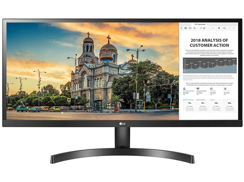 Monitor  LG 29WL500-B 29