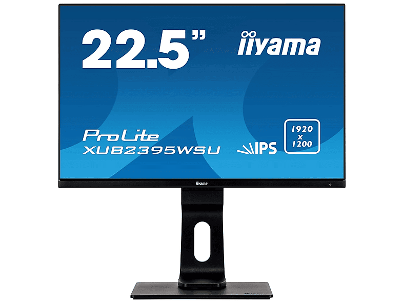 Monitor  IIYAMA ProLite 22,5 